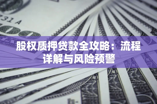 北京股权质押贷款全攻略：流程详解与风险预警