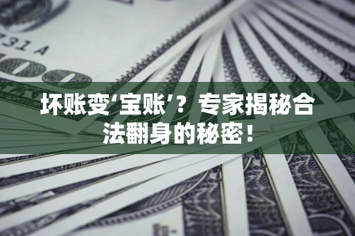 北京坏账变‘宝账’？专家揭秘合法翻身的秘密！