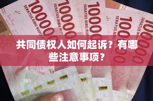 北京共同债权人如何起诉？有哪些注意事项？